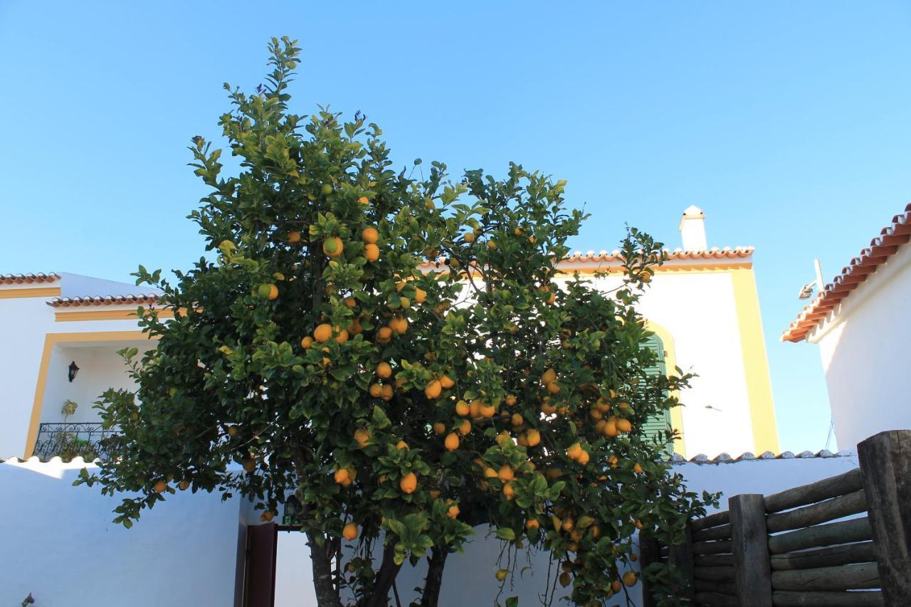 Casa Do Pateo Otel Vila Nova da Baronia Dış mekan fotoğraf